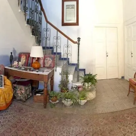 Panoramic In In Center 