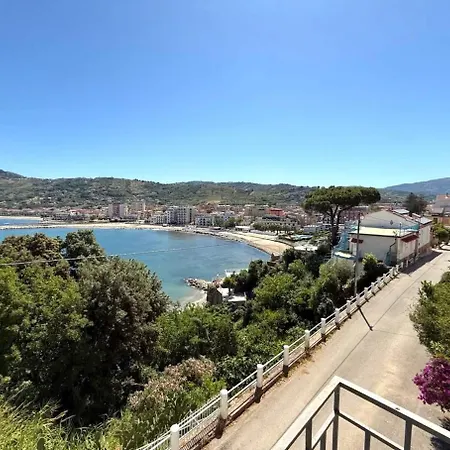 Panoramic In In Center 