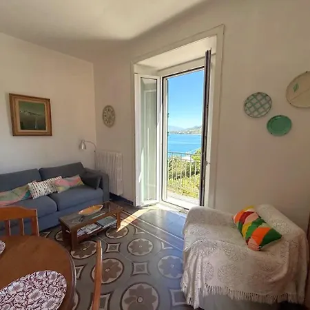 Panoramic In In Center 