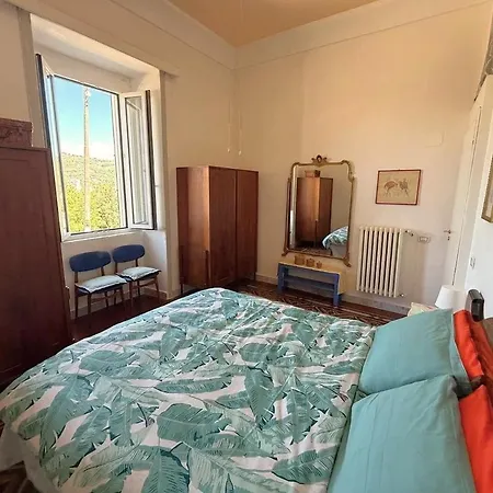 Panoramic In In Center 