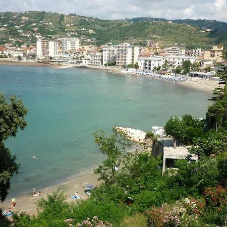 Panoramic In In Center 