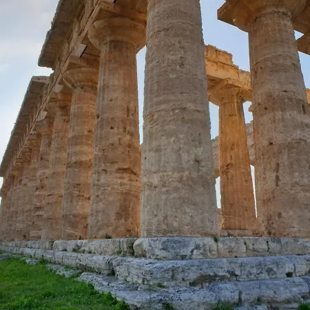 Panoramic In In Center 